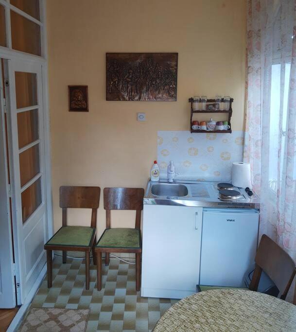 Apartment Milinkovic Niska Banja Bagian luar foto